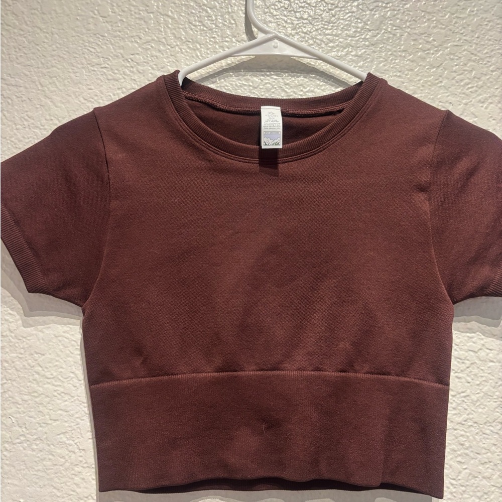 Aerie Rich Brown Short Sleeve Crop Top